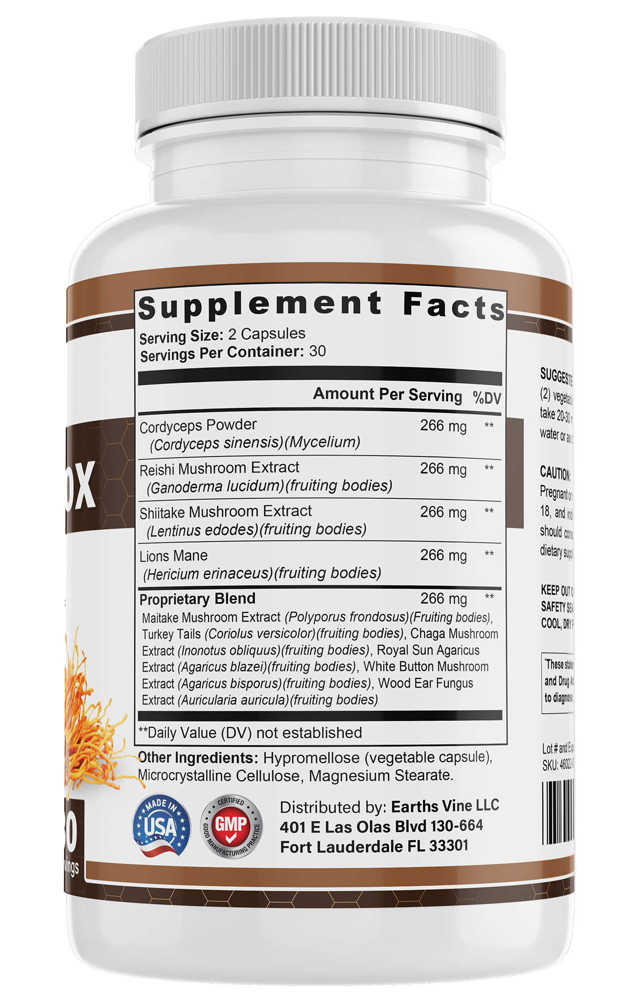 Mushroom 10X Supplement | 10 Types Of Mushrooms
